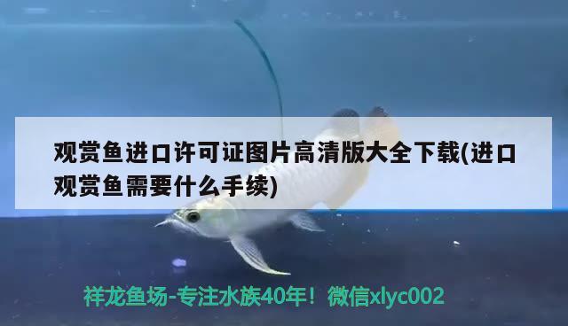 觀賞魚進口許可證圖片高清版大全下載(進口觀賞魚需要什么手續(xù)) 觀賞魚進出口