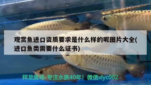 阜新市細河區(qū)天潤水族店 全國水族館企業(yè)名錄 第1張