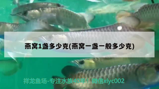 燕窩1盞多少克(燕窩一盞一般多少克)