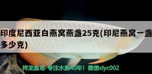 魚缸里放金屬有害嗎（魚缸放金子可以嗎） 廣州觀賞魚批發(fā)市場