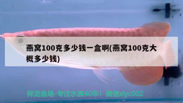 燕窩100克多少錢(qián)一盒啊(燕窩100克大概多少錢(qián)) 馬來(lái)西亞燕窩