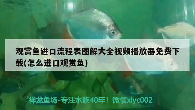 魚缸一般放哪個位置好呢：魚缸一般放哪個位置好呢圖片