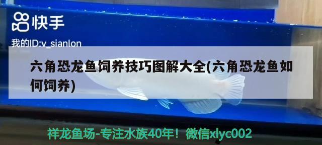 武漢義銀百冠裝飾，金華搬家公司價格一般是多少