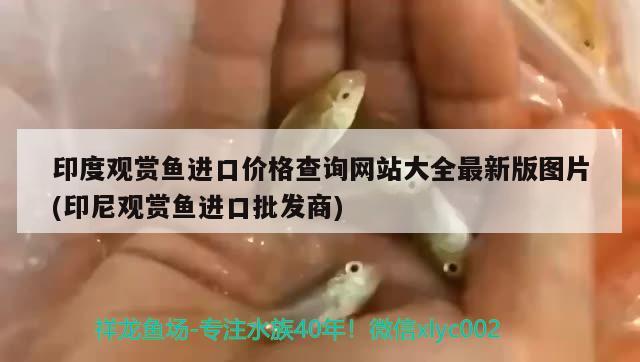 印度觀賞魚進(jìn)口價(jià)格查詢網(wǎng)站大全最新版圖片(印尼觀賞魚進(jìn)口批發(fā)商) 觀賞魚進(jìn)出口