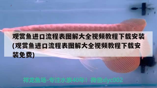 哈爾濱魚缸廠家排名前十的有哪些（哈爾濱極地館的海水從哪來） 鸚鵡魚 第2張