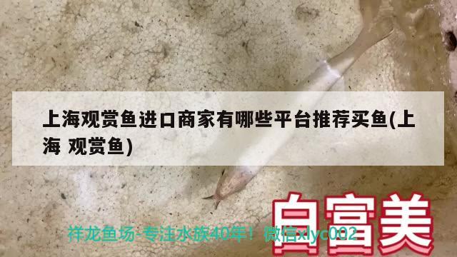 熊貓的資料大全：熊貓的資料大全400字