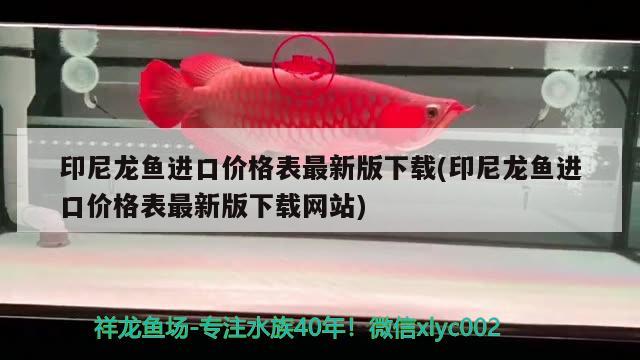 印尼龍魚(yú)進(jìn)口價(jià)格表最新版下載(印尼龍魚(yú)進(jìn)口價(jià)格表最新版下載網(wǎng)站) 觀賞魚(yú)進(jìn)出口