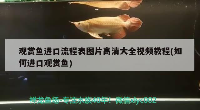 120元買的值嗎 觀賞魚論壇 第2張