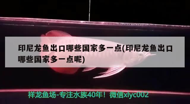 熊貓的資料大全：熊貓的資料大全400字