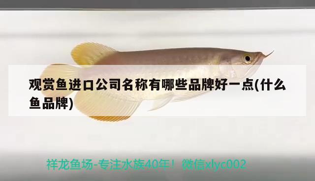 魚缸過濾器怎么拆洗視頻教程(魚缸過濾器怎么拆開清洗)