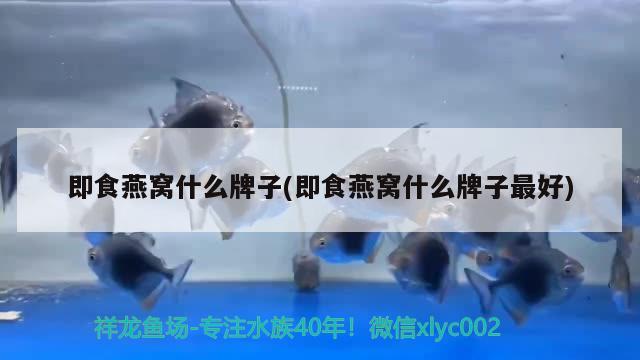 魚缸多少錢一個，大魚缸多少錢一個？，各種魚缸價格圖片大全 黃金招財貓魚 第3張