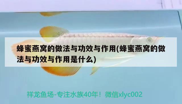 鉆石圖片：鉆石圖片簡筆畫 觀賞魚 第1張