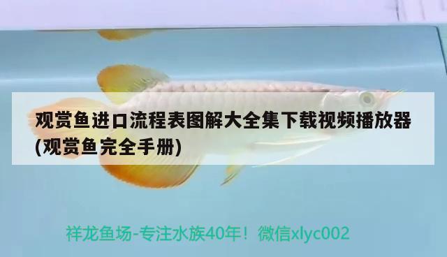 觀賞魚進口流程表圖解大全集下載視頻播放器(觀賞魚完全手冊)