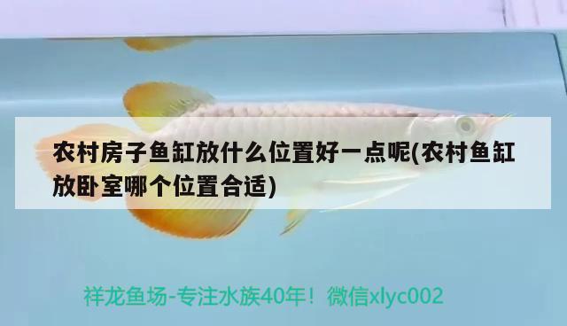 農村房子魚缸放什么位置好一點呢(農村魚缸放臥室哪個位置合適) 觀賞魚飼料