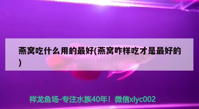 “國際水族飼養(yǎng)繁育培訓(xùn)班”首次在煙臺開課 - 副本 全國水族館企業(yè)名錄 第3張