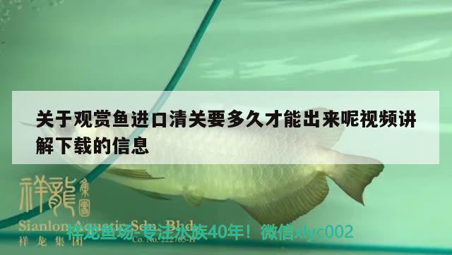 戶外魚池設(shè)計(jì)圖片：戶外魚池設(shè)計(jì)圖片簡易 觀賞魚市場 第1張