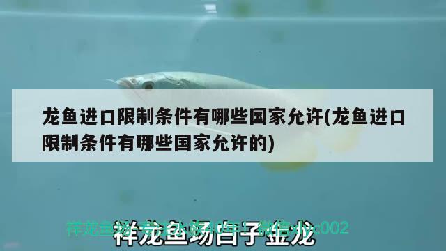 魚缸增氧泵拆解圖（魚缸增氧泵拆解圖片）