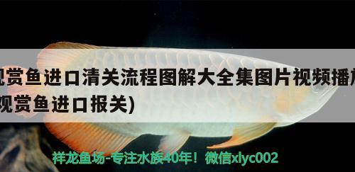 燕窩燉后可以放多久(燕窩燉完了可以放多久) 馬來西亞燕窩