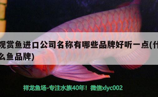 鰱鳙魚缸可以養(yǎng)嗎怎么養(yǎng)(魚缸能養(yǎng)鰱鳙嗎) 魚缸水質(zhì)穩(wěn)定劑