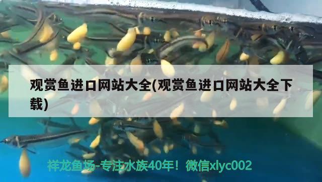 觀賞魚進(jìn)口網(wǎng)站大全(觀賞魚進(jìn)口網(wǎng)站大全下載) 觀賞魚進(jìn)出口