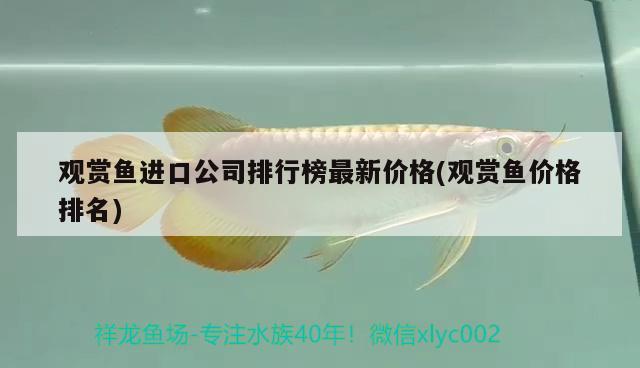 觀賞魚進(jìn)口公司排行榜最新價(jià)格(觀賞魚價(jià)格排名)