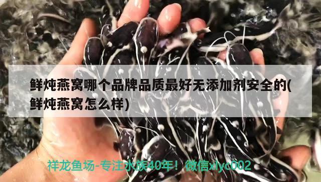 鮮燉燕窩哪個品牌品質(zhì)最好無添加劑安全的(鮮燉燕窩怎么樣) 馬來西亞燕窩