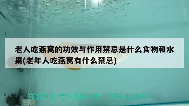 老人吃燕窩的功效與作用禁忌是什么食物和水果(老年人吃燕窩有什么禁忌) 馬來(lái)西亞燕窩