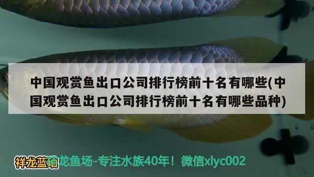 中國觀賞魚出口公司排行榜前十名有哪些(中國觀賞魚出口公司排行榜前十名有哪些品種)