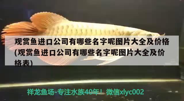 觀賞魚進口公司有哪些名字呢圖片大全及價格(觀賞魚進口公司有哪些名字呢圖片大全及價格表) 觀賞魚進出口