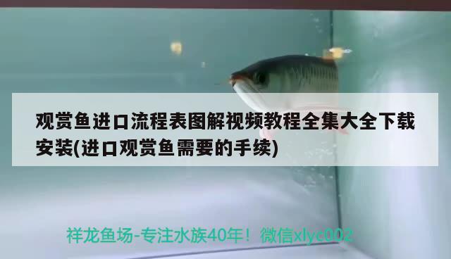 觀賞魚進口流程表圖解視頻教程全集大全下載安裝(進口觀賞魚需要的手續(xù)) 觀賞魚進出口