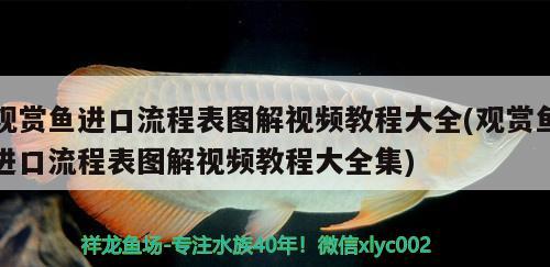 觀賞魚進(jìn)口流程表圖解視頻教程大全(觀賞魚進(jìn)口流程表圖解視頻教程大全集) 觀賞魚進(jìn)出口