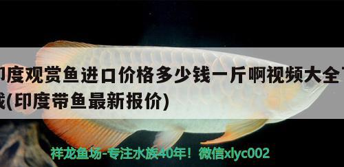 印度觀賞魚進(jìn)口價(jià)格多少錢一斤啊視頻大全下載(印度帶魚最新報(bào)價(jià)) 觀賞魚進(jìn)出口