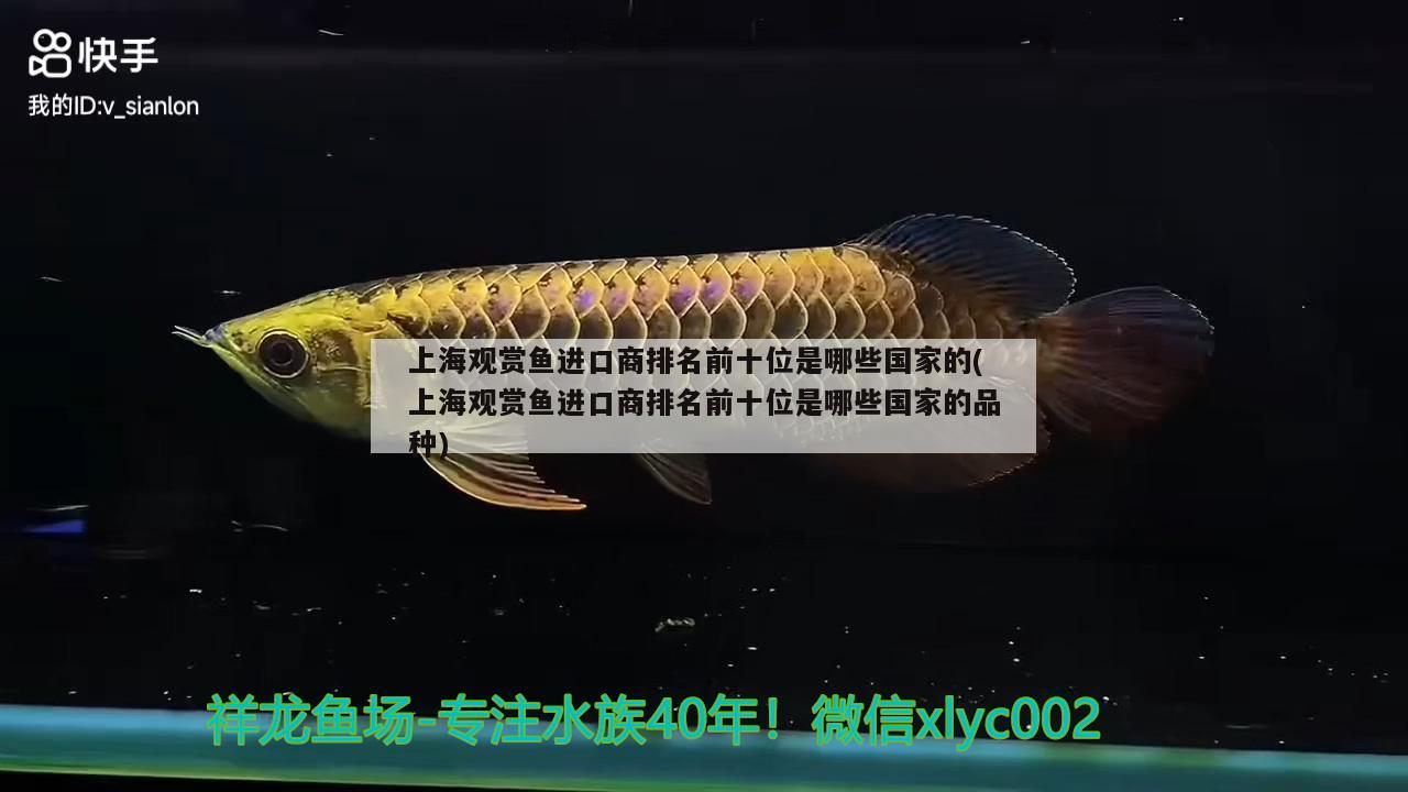 上海觀賞魚進(jìn)口商排名前十位是哪些國(guó)家的(上海觀賞魚進(jìn)口商排名前十位是哪些國(guó)家的品種) 觀賞魚進(jìn)出口