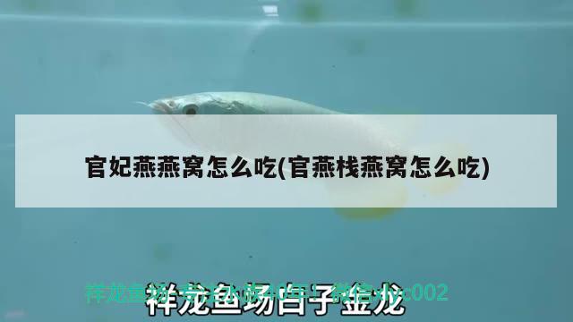 重慶最大的水族批發(fā)市場及北海水族批發(fā)市場的地方，北海水族批發(fā)市場 觀賞魚水族批發(fā)市場 第1張