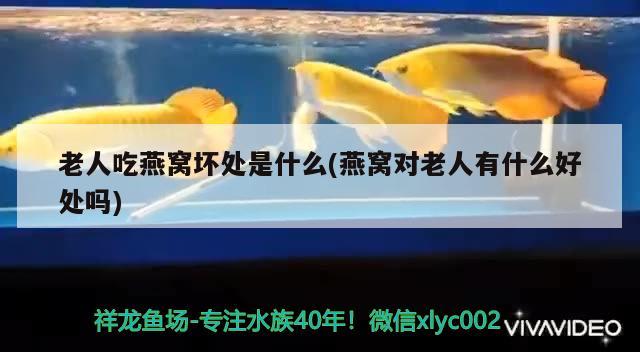 興安盟水族館新手入海請老手教點東西