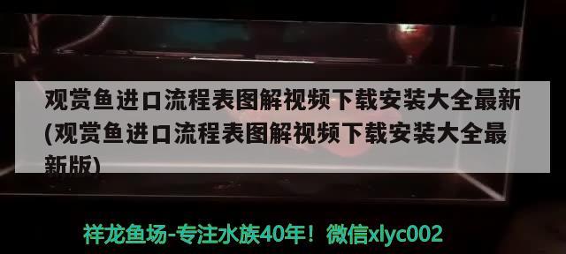 觀賞魚進口流程表圖解視頻下載安裝大全最新(觀賞魚進口流程表圖解視頻下載安裝大全最新版) 觀賞魚進出口