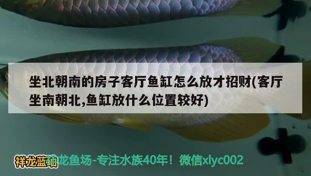 坐北朝南的房子客廳魚缸怎么放才招財(cái)(客廳坐南朝北,魚缸放什么位置較好) 廣州水族器材濾材批發(fā)市場