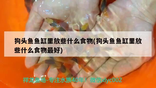 遷安市彭店子鄉(xiāng)毛二花卉店 全國水族館企業(yè)名錄 第1張