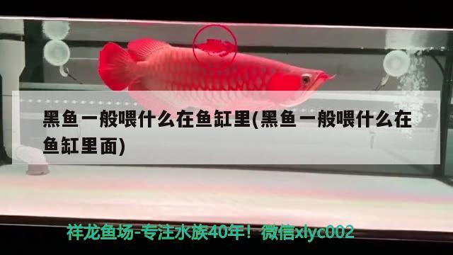 魚(yú)缸可以放樓梯旁邊嗎（魚(yú)缸可以放樓梯旁邊嗎風(fēng)水好嗎）