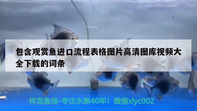 包含觀賞魚進口流程表格圖片高清圖庫視頻大全下載的詞條