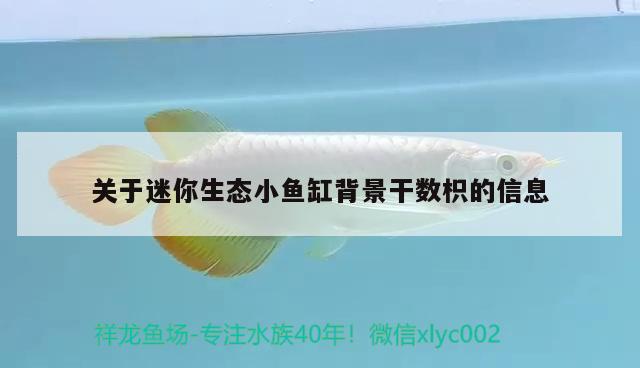 關(guān)于迷你生態(tài)小魚缸背景干數(shù)枳的信息