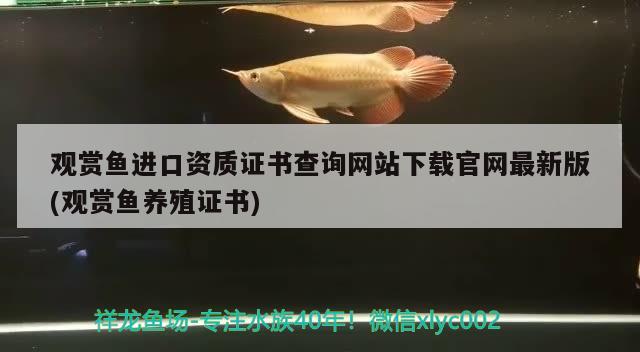 觀賞魚進口資質證書查詢網(wǎng)站下載官網(wǎng)最新版(觀賞魚養(yǎng)殖證書)