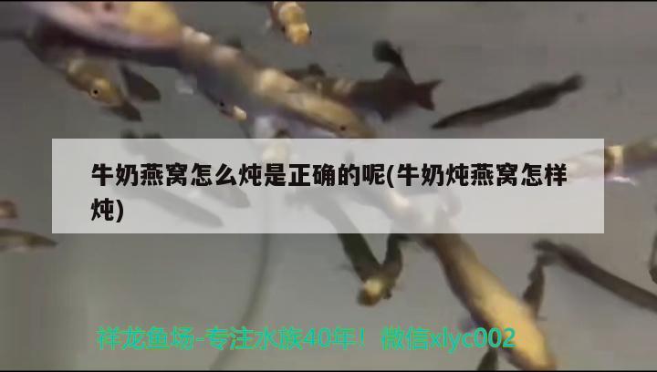 寶雞哪里有做魚缸的廠家地址和電話：寶雞魚缸專賣