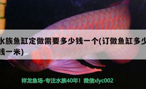 水族魚缸定做需要多少錢一個(gè)(訂做魚缸多少錢一米) 七彩神仙魚