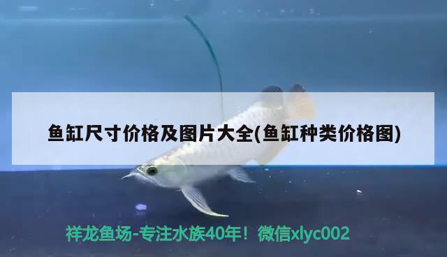 魚缸尺寸價格及圖片大全(魚缸種類價格圖) 飛鳳魚