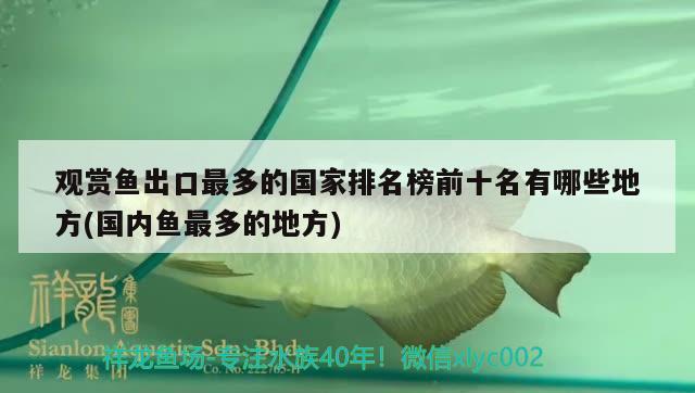 觀賞魚出口最多的國家排名榜前十名有哪些地方(國內魚最多的地方) 觀賞魚進出口