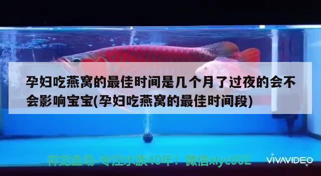 孕婦吃燕窩的最佳時間是幾個月了過夜的會不會影響寶寶(孕婦吃燕窩的最佳時間段) 馬來西亞燕窩 第2張