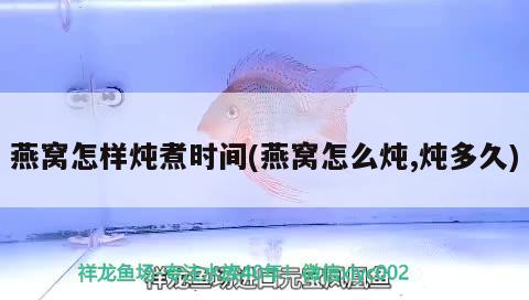 觀賞魚進(jìn)口資質(zhì)查詢網(wǎng)址是什么呢怎么查詢(魚類鑒定網(wǎng)站) 觀賞魚進(jìn)出口