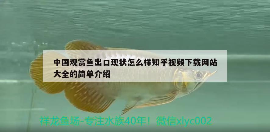 中國觀賞魚出口現(xiàn)狀怎么樣知乎視頻下載網(wǎng)站大全的簡單介紹 觀賞魚進(jìn)出口