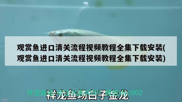 觀賞魚進口清關(guān)流程視頻教程全集下載安裝(觀賞魚進口清關(guān)流程視頻教程全集下載安裝) 觀賞魚進出口